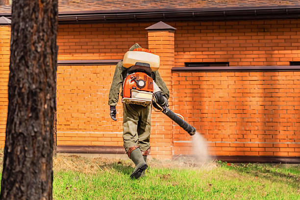 Trusted Cockroach Control service in Joseph City, AZ - Nex Pest Control